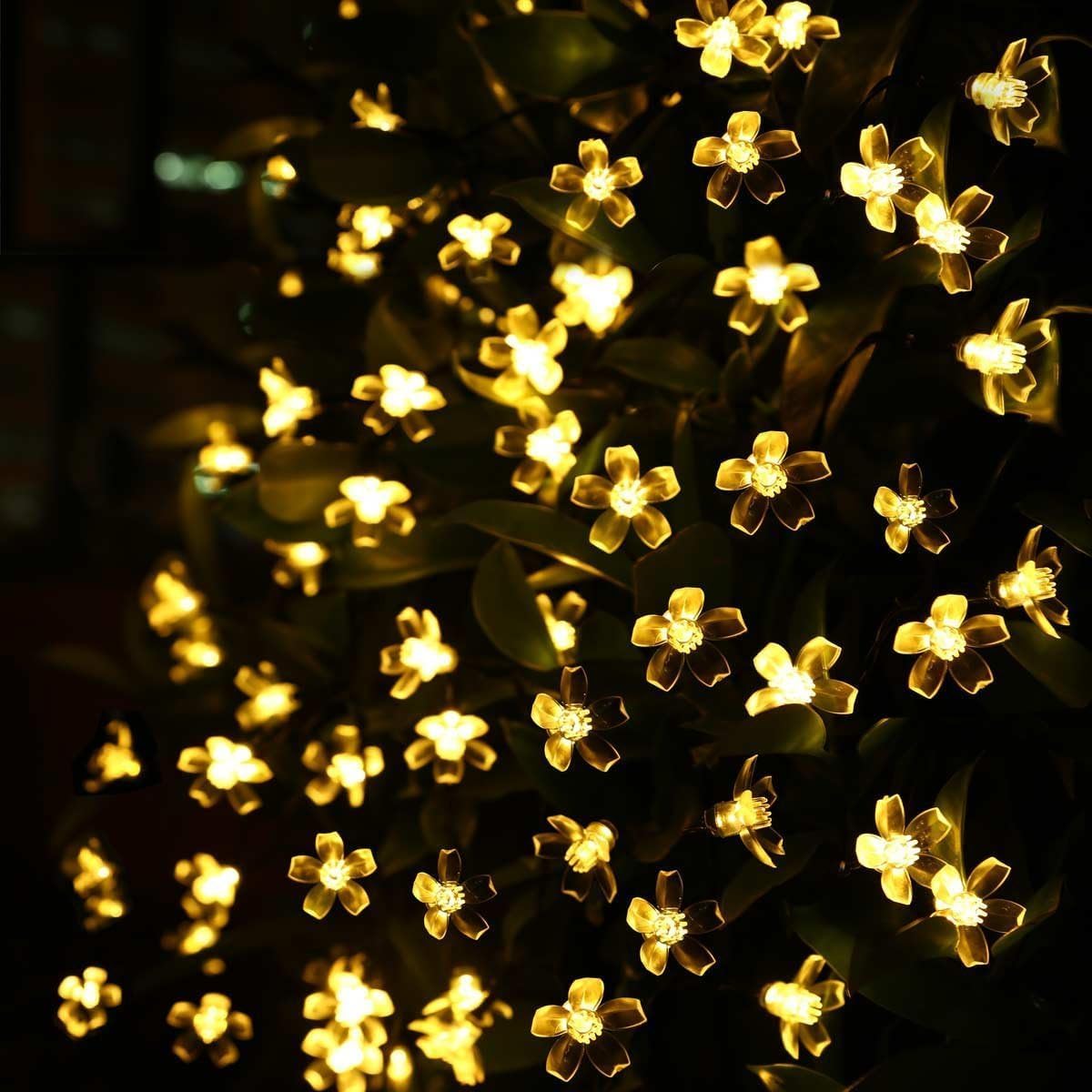 Silicone Flower LED String Fairy Lights Outdoor and Indoor for Home Decoration Light, Diwali Lights & Christmas,Party (Warm White,Corded Electric) 16 LED's 3 Meter